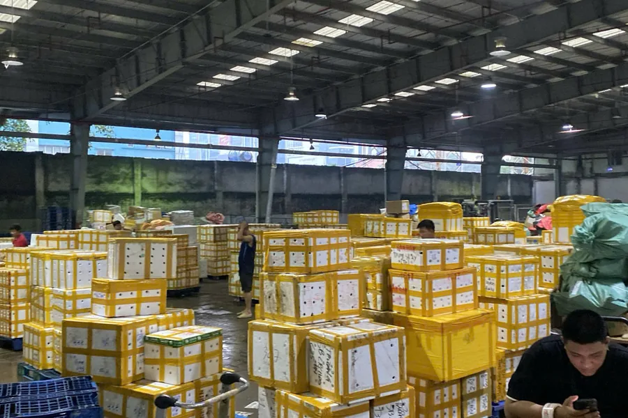 Các kiện hàng được tập kết theo lô tại khu vực xử lý.